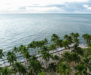 Praia de Guadalupe